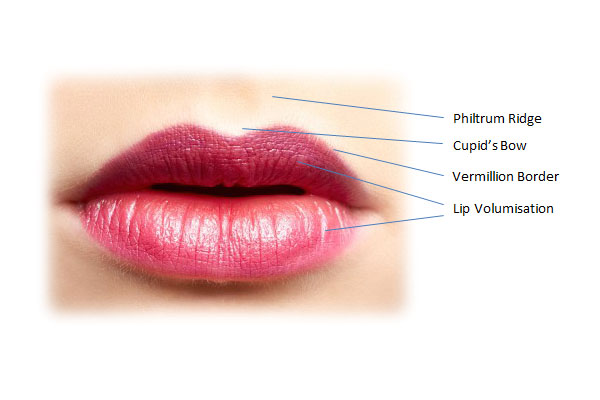 Lip Enhancement

